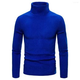 Pulls pour hommes 14 couleurs automne / hiver haute qualité hommes pull pull solide tricoté col roulé mâle jacquard mince élastique