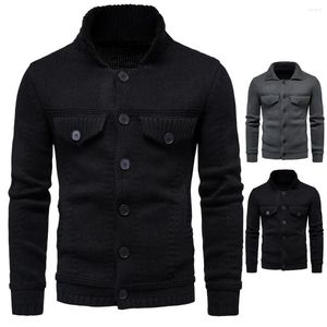 Pulls pour hommes 2023 Automne Tricots Mode Couleur Solide Polo Workwear Cardigan Porter Pull à l'extérieur