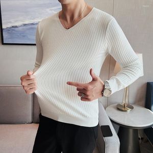 Sweaters voor heren 2023 Merk kleding mannen herfst winter warme gebreide trui/mannelijke slanke fit streep v-neck hoge kwaliteit trui heren casual