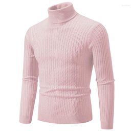 Suéteres para hombres 2023 Twist Cuello alto Jersey Suéter de punto Moda Casual Color sólido Simple Versátil Cálido