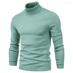 Herensweaters 2024 Herfst/Winter Casual effen kleur trui met hoge kraag gebreide kleding