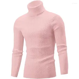 Pulls pour hommes 2024 Pull d'hiver Casual Slim Fit Col Haut Pull Qualité Élastique Rose Tricoté Hommes