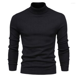 Pulls pour hommes automne et hiver pull de couleur unie pour hommes affaires loisirs col haut hommes décontractés