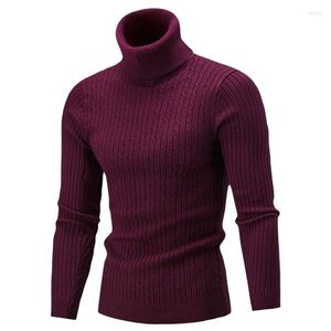 Pulls pour hommes automne et hiver pull à col roulé pour hommes pull tricoté col chaud pull mince décontracté LL048