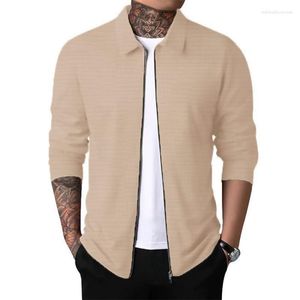 Pulls pour hommes automne cardigan veste zippée décontracté à manches longues revers gaufré pull pull hommes