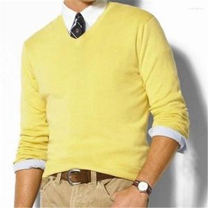 Pulls pour hommes Automne Hommes Coton Petit Pull Pull à manches longues Pull tricoté col en V et col rond