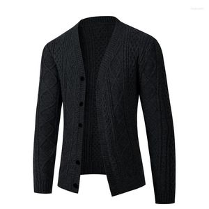 Pulls pour hommes automne hiver pull tricoté Cardigan hommes mode Slim Fit col en V simple boutonnage tricot manteau hommes quotidien décontracté