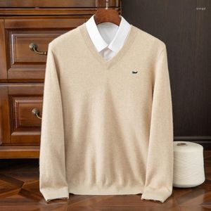 Suéteres para hombres Suéter de cachemira Hombres Otoño Suave Cálido Jersey Jumper Pull Homme Jersey con cuello en V Punto de invierno Lana Plus Tamaño 5XL