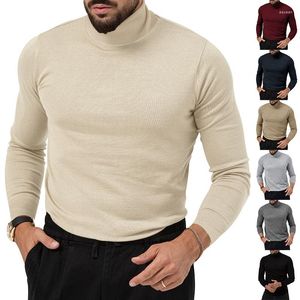 Pulls pour hommes décontracté coupe ajustée hauts basiques tricoté pull à col roulé thermique