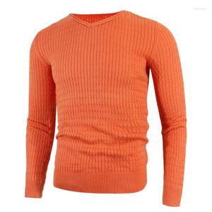 Heren truien Factory Direct heren trui trui gebreide V-hals eenvoudige gewone stijl solide kleur in de herfst en winter