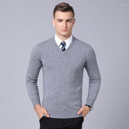 Herentruien Hoge kwaliteit Mens Pure Wool Sweater Lange mouw Herfst Winter Male Man Man Solid V-Neck Cashmere Pullovers