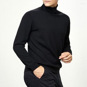 Pulls pour hommes Hommes Pull à manches longues Homme Pull de couleur unie Pull pour hommes Tops Mode Mens Coton Turtle Neck Turtleneck Sweat