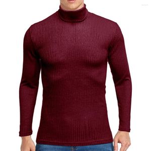 Hommes chandails hommes pull col roulé à manches longues col haut pull résistant au froid mince tricoté bas chemise automne vêtements 2023