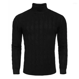 Herensweaters Heren gedraaide gebreide coltrui Herfst Winter Slim Fit Pullover Kabel met ribbelrand