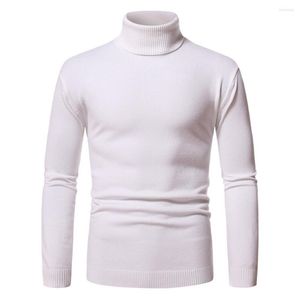 Heren truien heren witte coltrui kasjmier kasjmere trui herfst winter rollneck warm gebreide houd mannen jumper pull homme