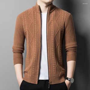 Pulls pour hommes Cardigan en laine de mouton épais pull à fermeture éclair à manches longues tricots pur mâle manteau en tricot chaud