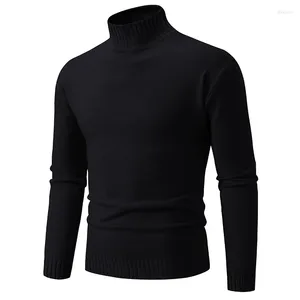 Pulls pour hommes Slim Blank Tops Hommes Automne Hiver Mock-Cou À Manches Longues Pull Pull Blouse Top Bonne Qualité Printemps Automne Pulls Homme