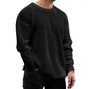 Pulls pour hommes printemps Europe-USA Style tricots pulls hommes/jeunesse acrylique col rond couleur Pure Type droit pull en tricot fin