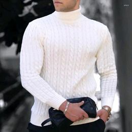 Pulls pour hommes col roulé tricots automne et hiver jeunesse couleur unie pull chemise de base mince charme mature hommes vêtements