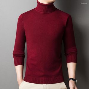 Pulls Homme Hiver Automne Mode Homme Couleur Unie Col Roulé Pull Décontracté Ados Simple Basique Pull Tricoté Confortable Classique