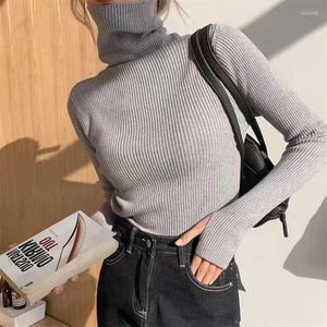 Pulls pour hommes Femmes Heaps Col Turtleneck Automne Hiver Slim Pull Basic Tops Casual Soft Knit Pull Pull chaud