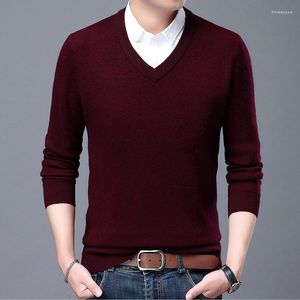 Suéteres para hombre, jersey de lana, otoño 2023, cuello en V, marca de moda, suéter de punto grueso, suéter informal para hombre, ropa de invierno de Cachemira