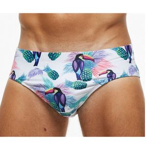 Herenzwemkleding 2024 Nieuwe gestreepte papegaai flamingo heren zwembroek anti glans driehoek shorts