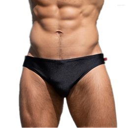 Traje de baño para hombre, talla europea, calzoncillos de baño para hombre, Bikini Sexy, bañadores para traje de baño, traje de baño Gay, pantalones cortos de playa, calzoncillos brasileños