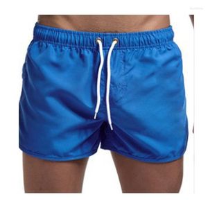 Maillots de bain pour hommes Fashion Beach Shorts Polyester Multi-Color Sports Style à trois points