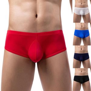 Maillots de bain pour hommes Sous-vêtements pour hommes Sous-vêtements sexy en coton pour hommes Slips Undies Sports