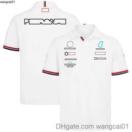 T-shirts voor heren 2022 F1 T-shirt Formule 1 Team T-shirts Polo shirts aangepaste racefans zomer Casual snel droge short seve-serie F1 hoodie oversized sweatshirt 4123