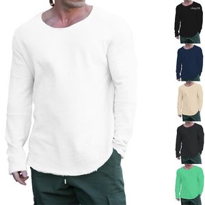 T-shirts pour hommes 2023 automne à manches longues col rond bataille endommagé décontracté pull ample vêtements de mode