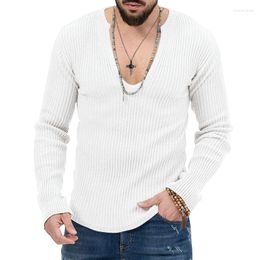 Heren T-shirts 2023 Autumn Polo V-Neck Fashion Slim Fit Long Sleeve T-Shirt Cross Border Underlay Wear