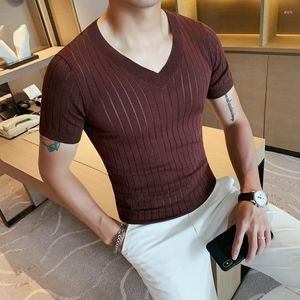 Heren t shirts 2023 Britse stijl heren zomer casual ijs zijden t-shirt/mannelijke slanke fit v-neck short mouw t-shirt tops plus size s-4xl