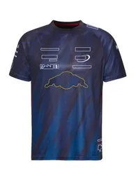 T-shirts masculins 2023 F1 Racing Team Jersey T-shirt Formule 1 T-shirt spécial T-shirt Nouvelle saison Fans de course T-shirts Summer Casual Mens T-shirt Tops 8B3K