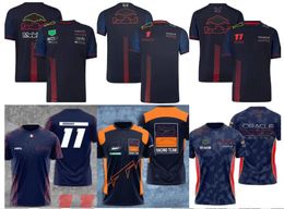T-shirts voor heren 2023 New F1 Racing Polo Suit Summer Team reversoverhemd dezelfde stijlaanpassing