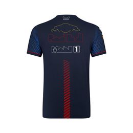 T-shirts voor heren 2023 NIEUW F1 T-shirt Formule 1 Raceteam Set-t-shirts Mens Racing Clothing Tops Custom Driver Polo Shirts damesjersey rzcx