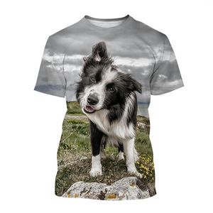 Camisetas para hombres 2023 Verano Border Collie Impresión 3D Hombres Mujeres Calle para niños Camiseta casual Lindo patrón de perro mascota Tops deportivos finos