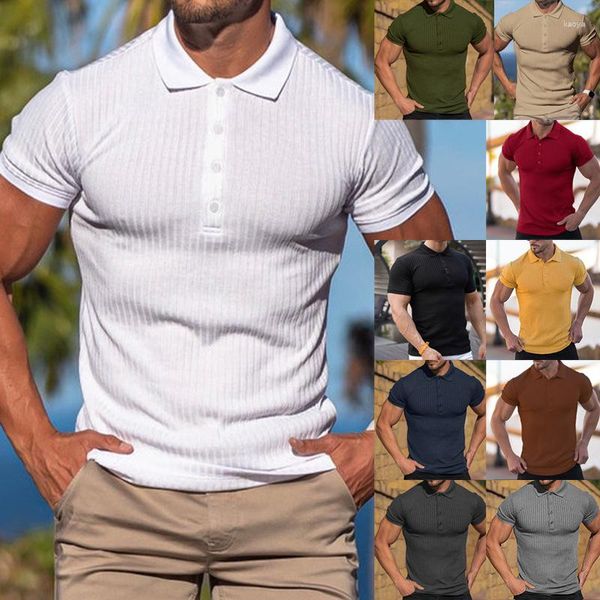 T-shirts pour hommes 2023 Polo d'été Hommes Solid Stripe Fitness Élasticité Manches courtes pour la mode Col montant Hommes