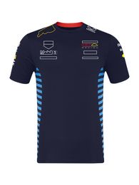 T-shirts voor heren 2024 F1 Racing Team T-shirt Formule 1 Driver Polo Shirts T-shirt Mens Racing Clothing Tops New Season Motorsport Fans T-Shirt Jersey Y1HX Y1HX