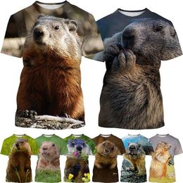 T-shirts pour hommes Animal Groundhog T-shirt imprimé Marmota Mode décontractée à manches courtes 3D Harajuku Streetwear Top