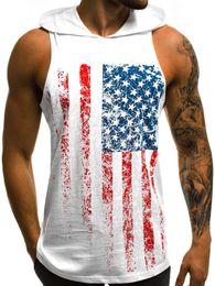 Camisetas para hombre, camisetas de llegada, camiseta con capucha 3D con estampado de bandera americana para mujer/hombre, camiseta informal, jerséis Punk de manga corta