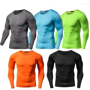 T-shirts pour hommes Automne Solide Hommes Compression Running T-Shirt Fitness Serré À Manches Longues Sport O Cou Formation Gym Sportswear Séchage Rapide