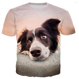 Heren t shirts border collie shirt man/dames 3d geprinte t-shirts casual harajuku t-shirt streetwear tops