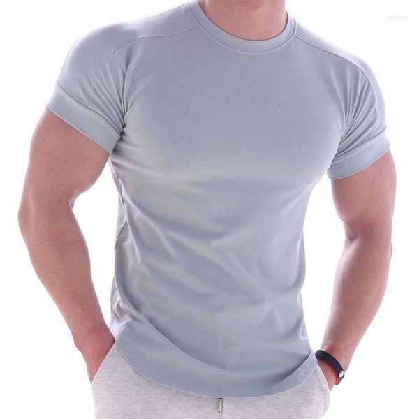 T-shirts pour hommes Design vêtements de Fitness coupe ajustée produits de t-shirt de Sport