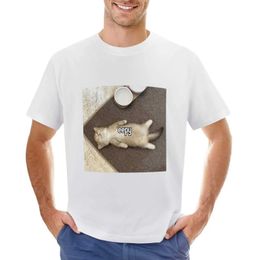 Camisetas para hombres Eepy Kitten Meme Camiseta Hippie Sportswear Fan Camiseta negra pura para menl2403