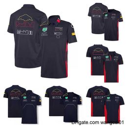 T-shirts pour hommes F1 racing modèle vêtements marée marque équipe 2021 Perez Verstappen cardigan POLO polyester à séchage rapide combinaison de moto avec le sa 0406H23