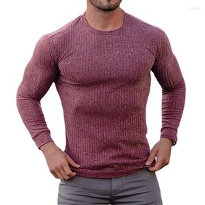 Heren t shirts mode herfst gewone kleur met lange mouwen ronde nek dunne gebreide shirt casual fitness kleding