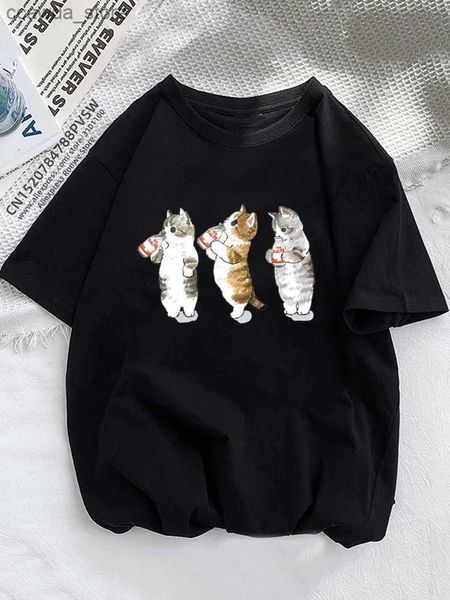 Camisetas para hombres divertidos gatos naranjas verano mujeres camisetas niña animal mascota amor estilo manga corta impresión ropa de moda femenina damas gráfico tee q230102