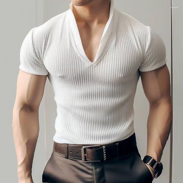 T-shirts pour hommes Incerun Tops 2024 Mesh à rayures verticales T-shirts légèrement transparents Fashion masculine masculin à manches minces minces Camiseta S-5xl